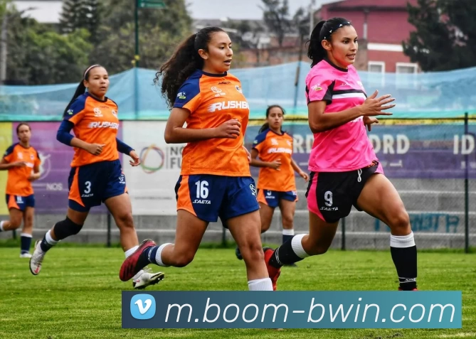 必赢体育平台生态图